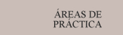 AREAS DE PRACTICA