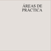 AREAS DE PRACTICA